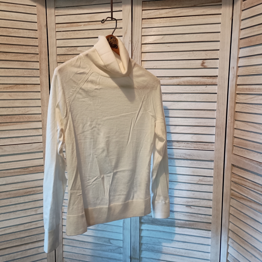 Banana Republic Cream Merino Wool Knit